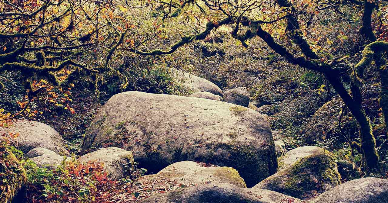 On voit un somptueux chaos rocheux avec des arbres noueux, un des endroits où ont lieu les prestations.